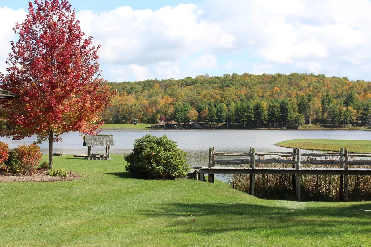 A vibrant red tree frames a tranquil dock extending into the lake, surrounded by lush green grass. The scene captures a peaceful moment by the water, highlighting the seasonal color change and the serenity of nature. This versatile setting is ideal for fishing, bird watching, or simply enjoying the outdoors.